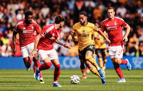 Rừng Nottingham vs Wolves